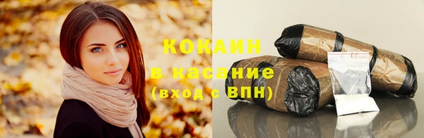 твердый Алексин