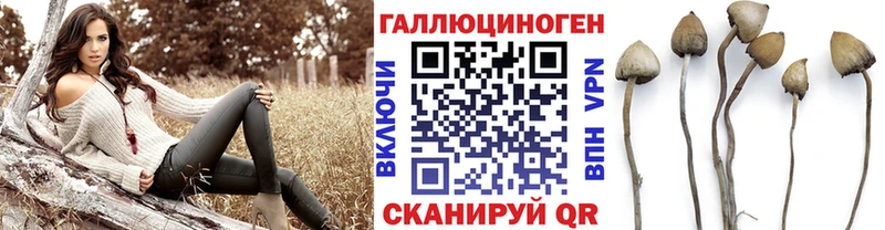 Галлюциногенные грибы ЛСД  ОМГ ОМГ вход  Петушки 