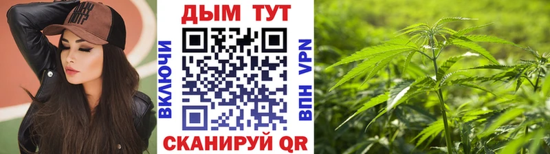 Бошки Шишки планчик Петушки